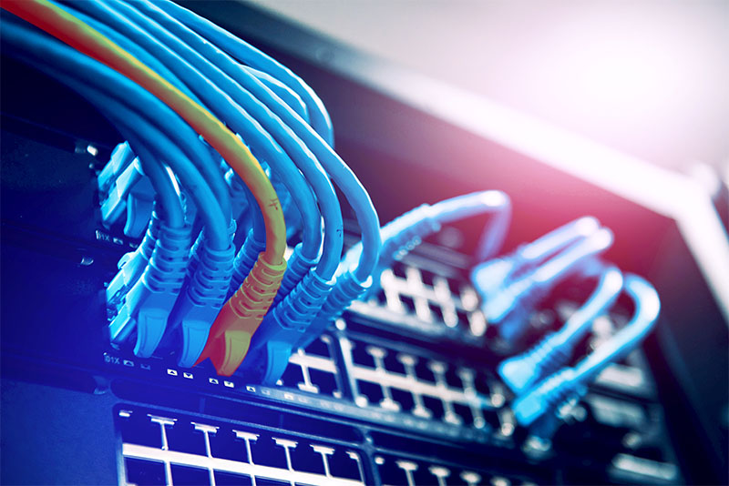 Cables in patch panel